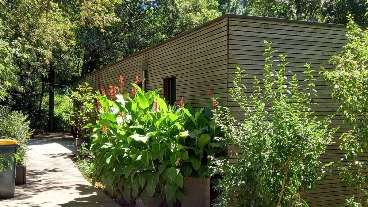 Hennebont House | Cool under the trees and warm in the Nordic bath all year round