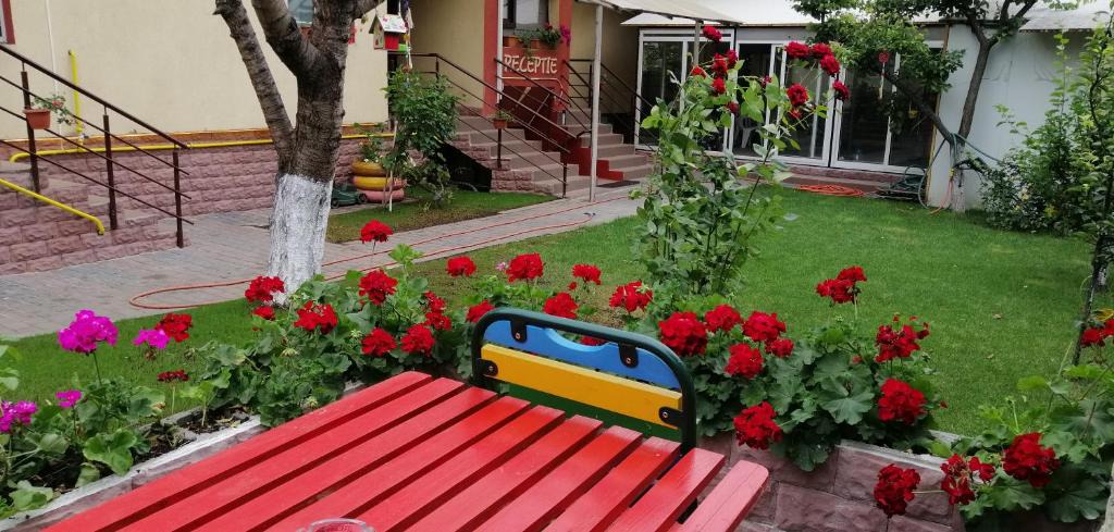 Copou Bed & Breakfast | Copou Inn