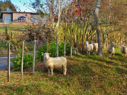 Upper Moutere House | Copper Gate
