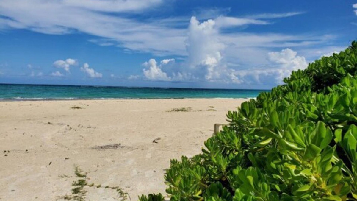 Silver Sands House | Coral Turtle