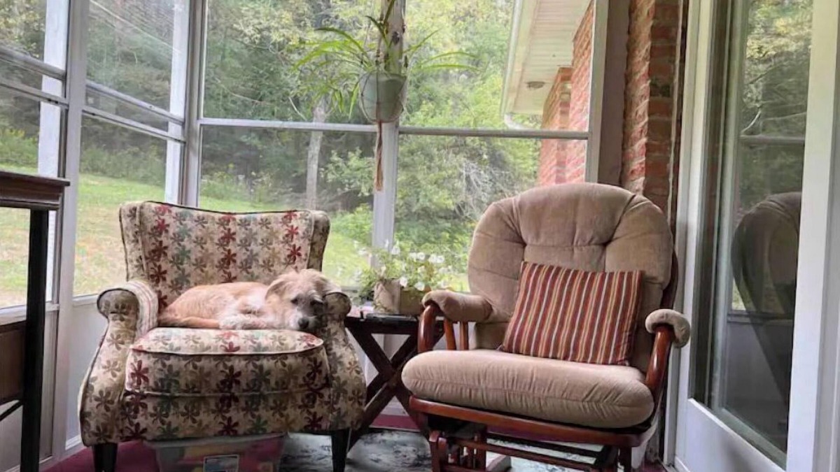 Coudersport House | Corey Guest House close to Dark Sky’s & ATV Trail