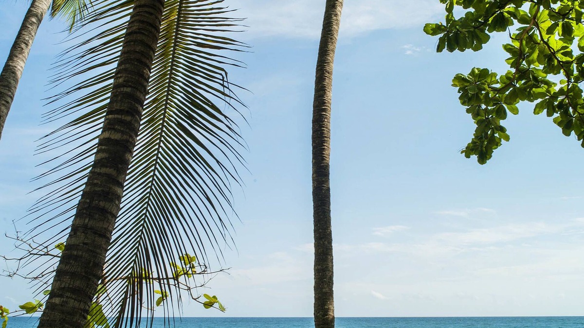 Cormier Resort | Cormier Plage Resort