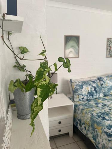 Westville Apartment | Corner Cottage - All to yourself