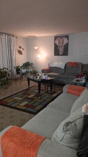 Lima House | Corner Oasis