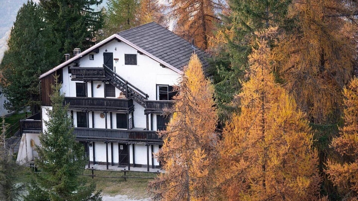 Plein Soleil Apartment | Corner of the Woods - Two-room apartment in Pila