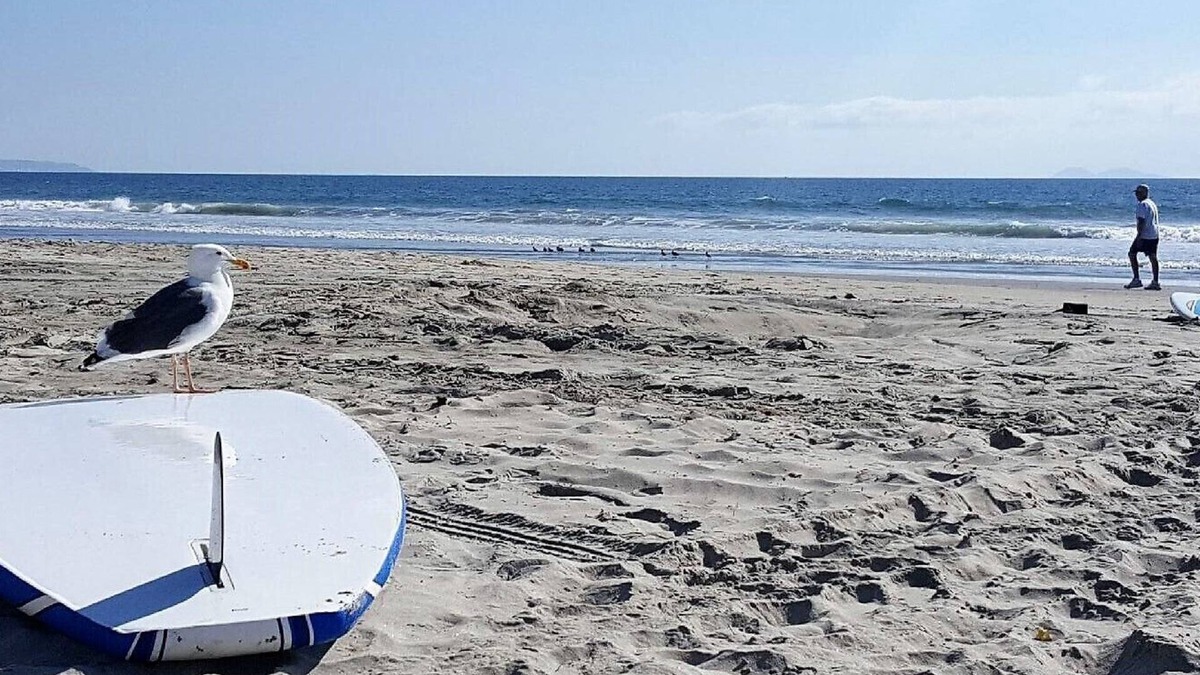 Coronado Condo | Coronado beach life!