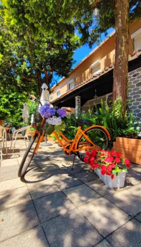 Caldelas House | Corredoura Garden