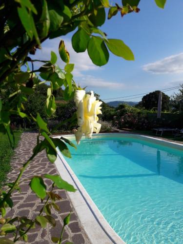 Soave Apartment | Corte Soave Apartment
