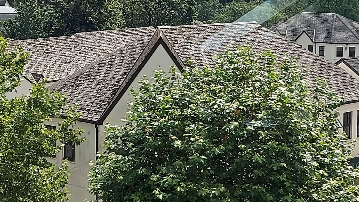 Ivybridge Apartment | Cosy 1 bedroom apartment with lovely views and in a great location.