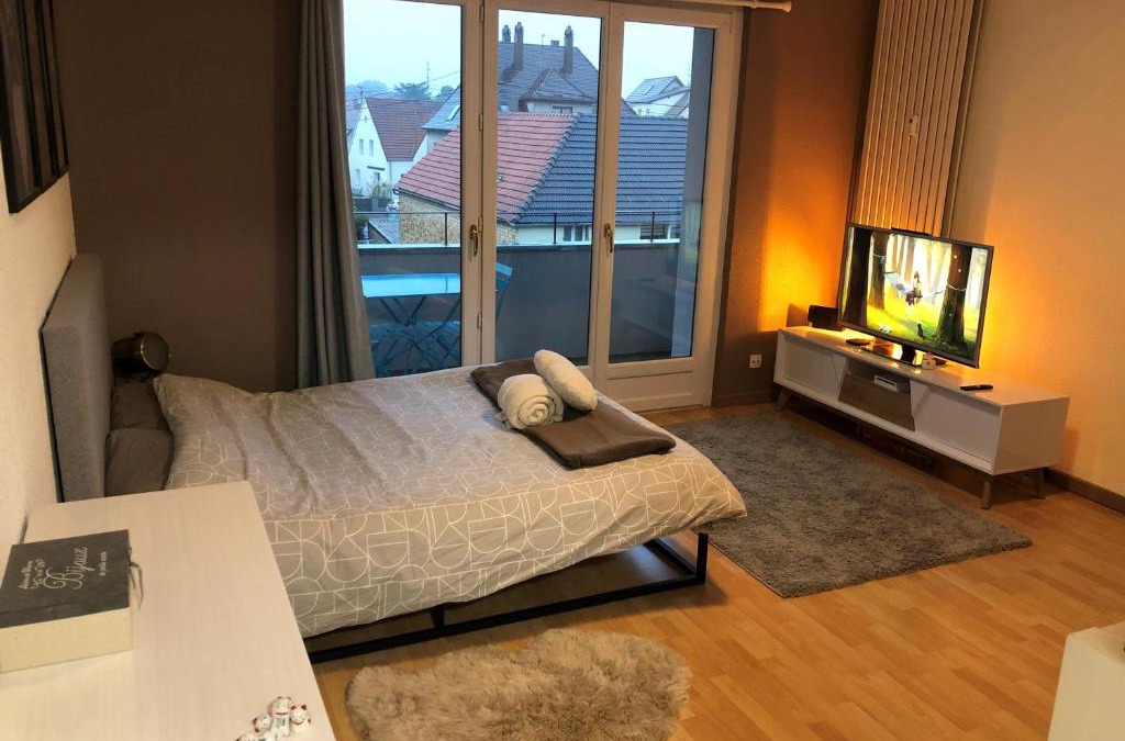Haguenau Apartment | Cosy-Adventure : Haguenau