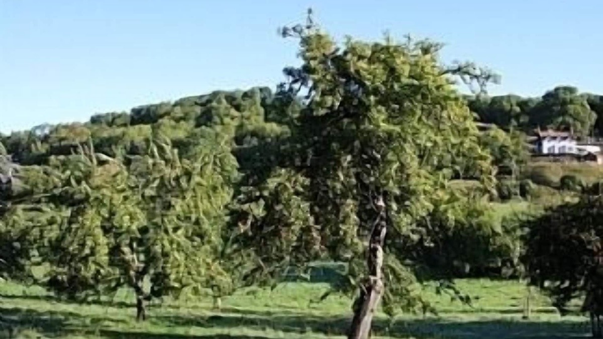Woolhope House | Cosy and Comfortable Cottage with the Best Views of the Wye Valley