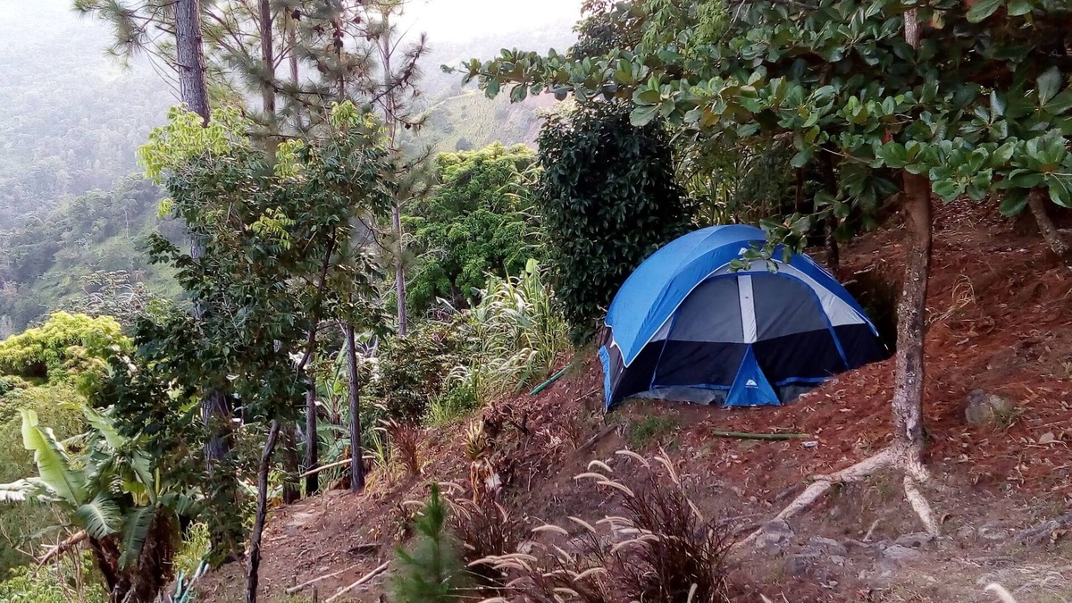 Blue Mountains National Park RV Rental | Cosy and secluded 6-Person Tent - Camping Blue Mountain Wilderness Retreat