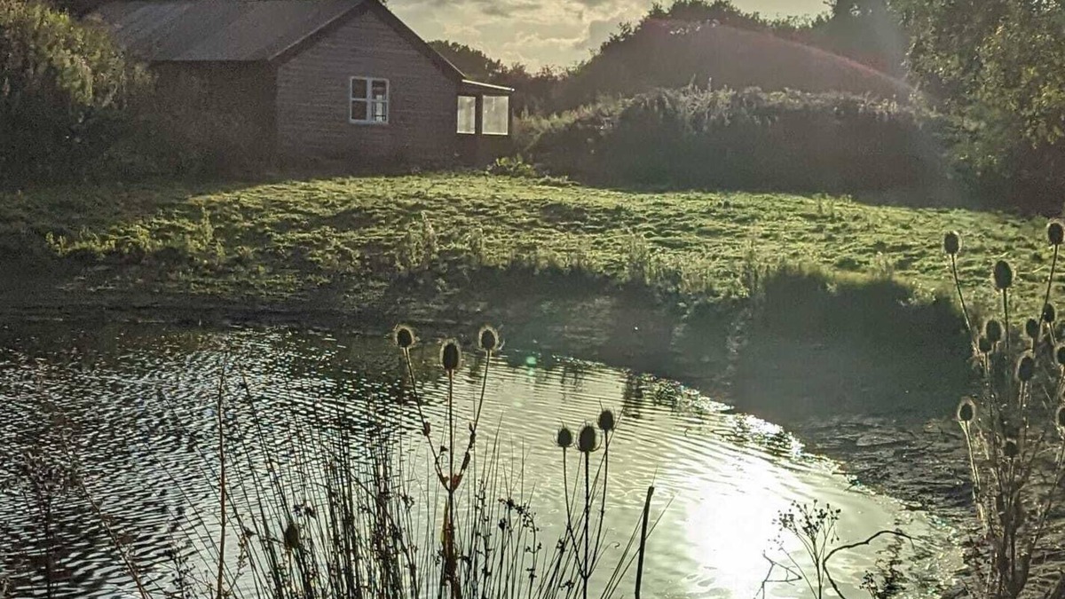 Crowle Cabin | Cosy and secluded cabin in mansion grounds