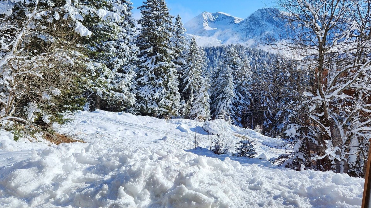 Chamrousse Apartment | Cosy apartment Antlana