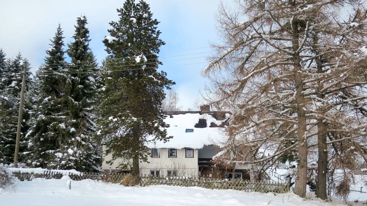 Feldberg Apartment | Cosy apartment for 4 guests with WIFI, TV, patio, pets allowed and parking