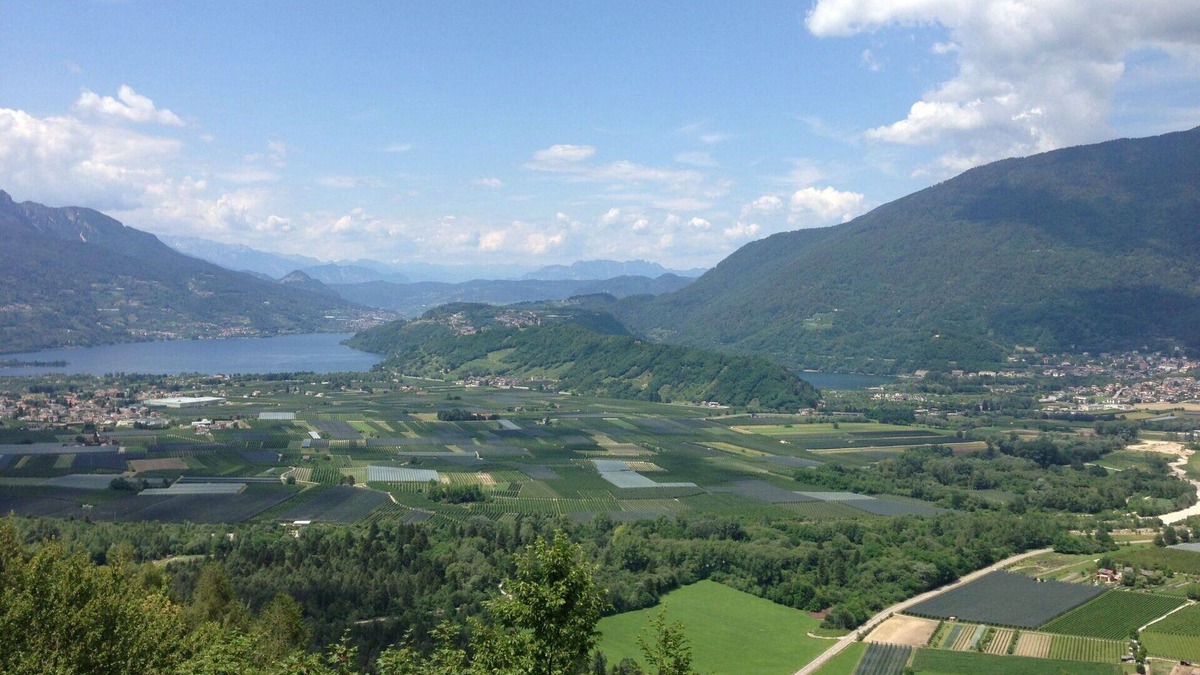 Caldonazzo Apartment | Cosy apartment for 4 guests with A/C, WIFI, TV, patio and parking