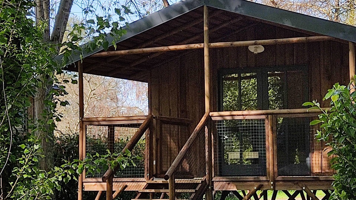 Moncrabeau Cabin | Cosy cabin in the heart of Gascony