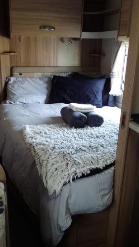 Kihikihi Bed & Breakfast | Cosy Caravan