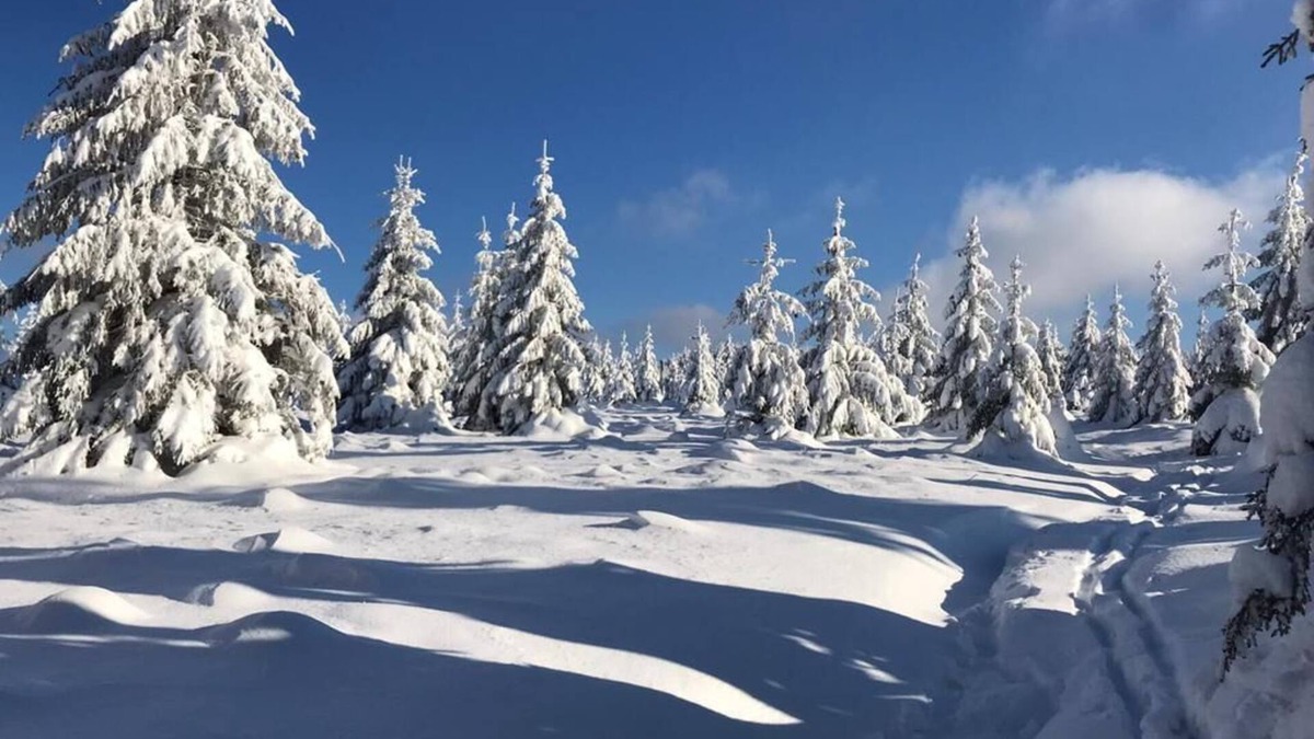 Plainfaing Ski Chalet | Cosy chalet located in Vosges