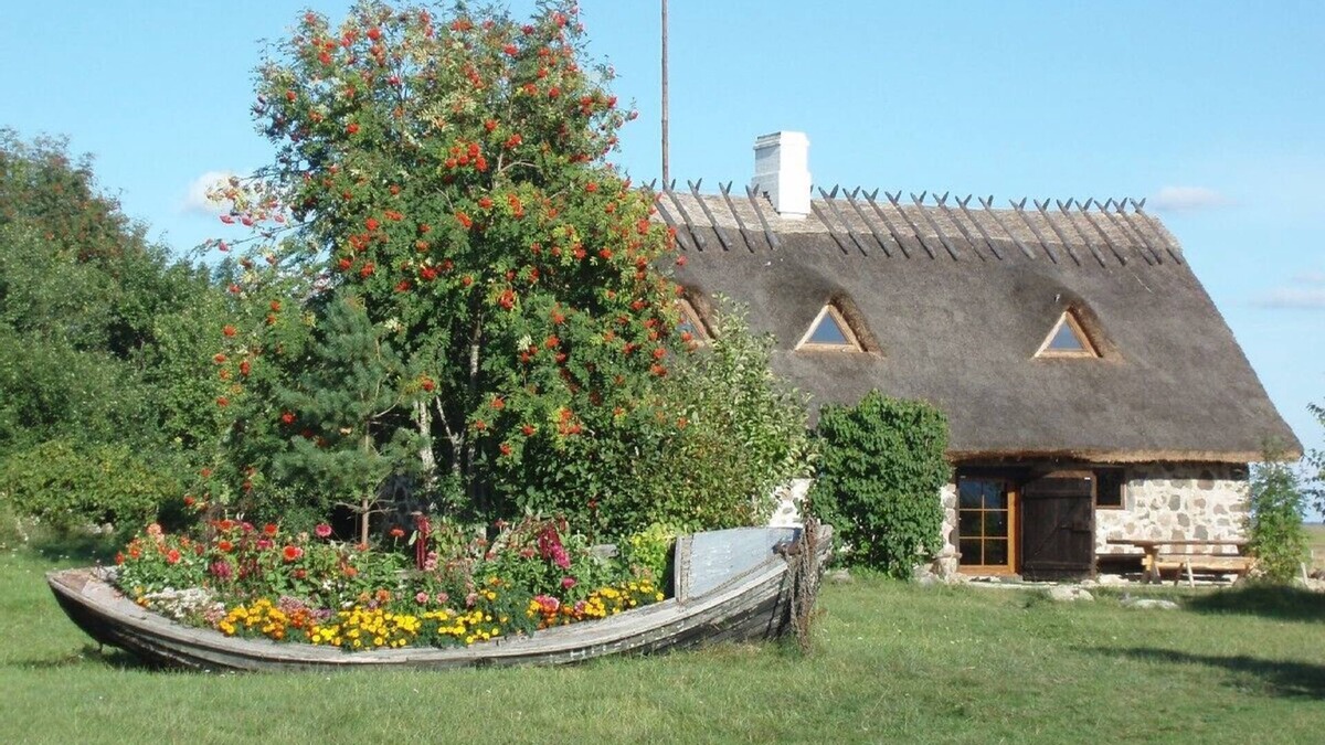 Haeska Cottage | Cosy coast front house with spectacular sea view, fire place and sauna