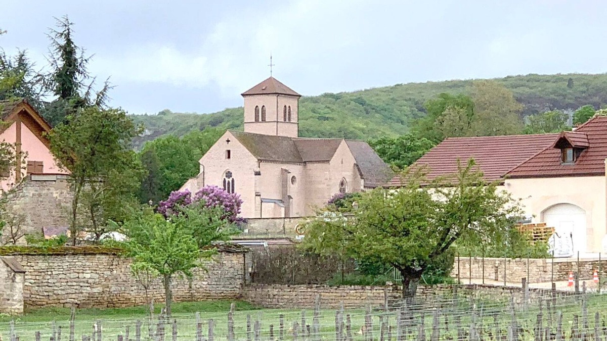 Gevrey-Chambertin Apartment | Cosy, comfortable T2 apartment in village center