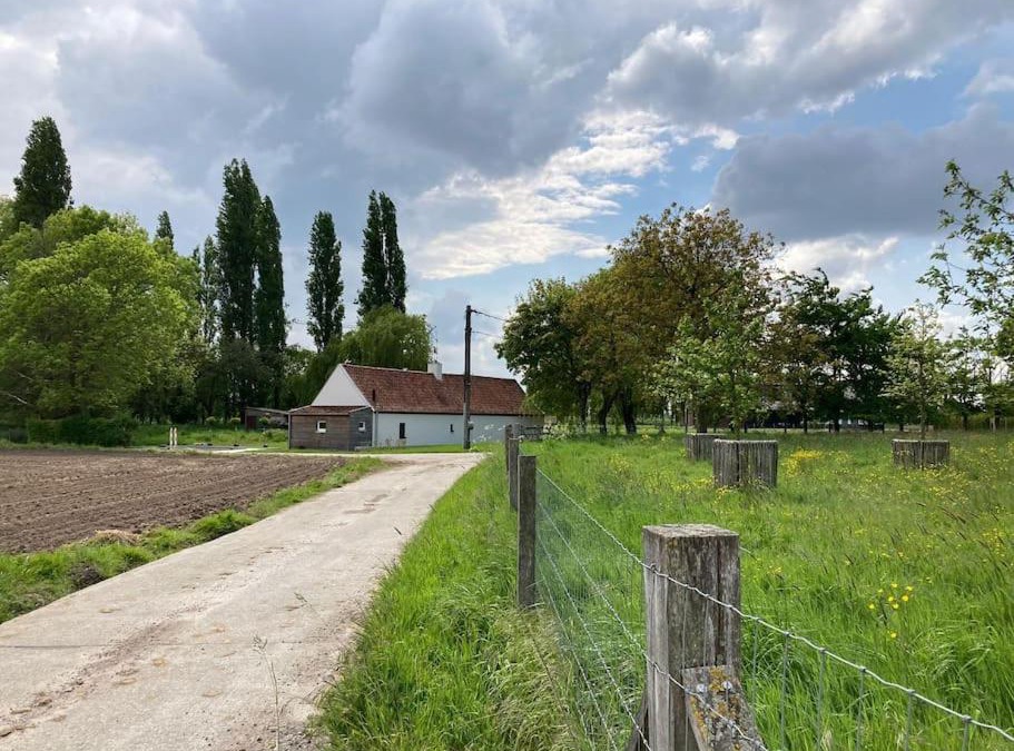 Poeke House | Cosy Cott, een verborgen logeerplek in het landelijke Poeke.