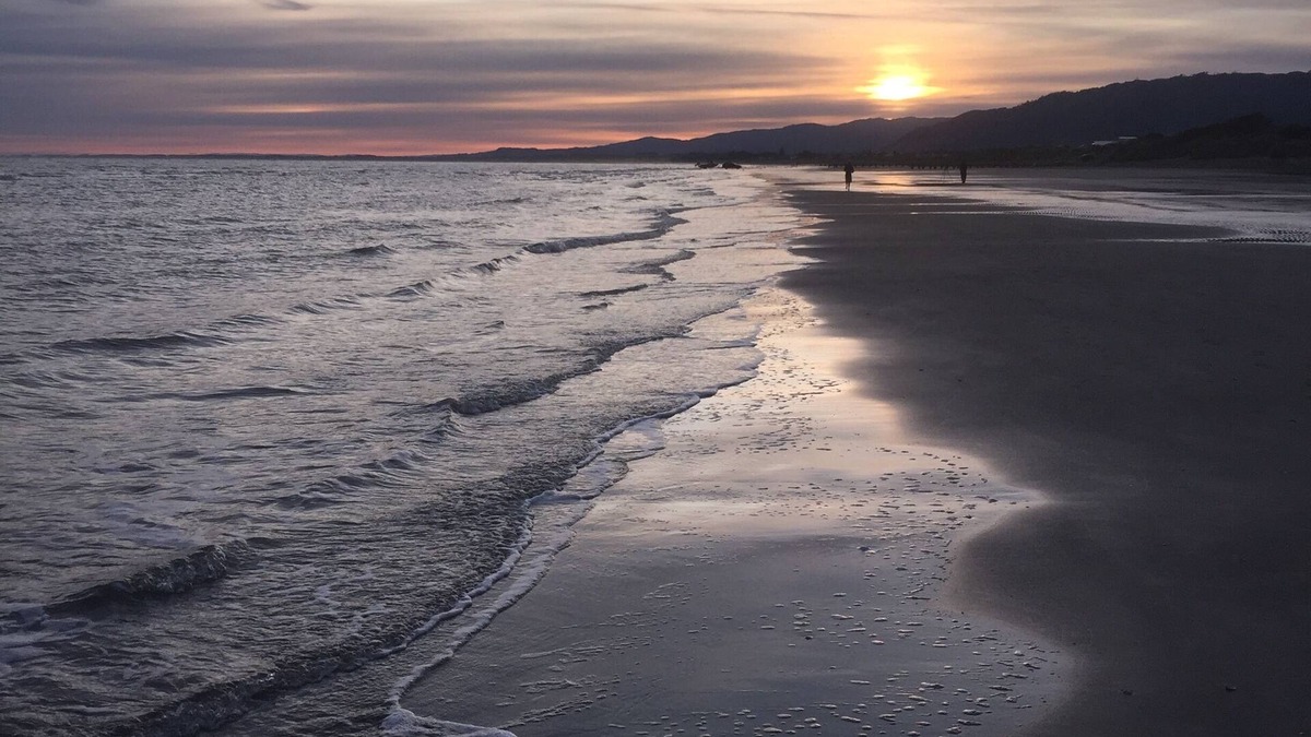 Paraparaumu Beach House | Cosy Cute Beach Cottage - 1 minute to the BEACH - Wi-Fi