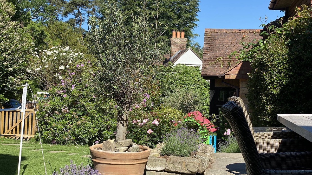 Forest Row Apartment | Cosy duplex Cottage on Ashdown Forest