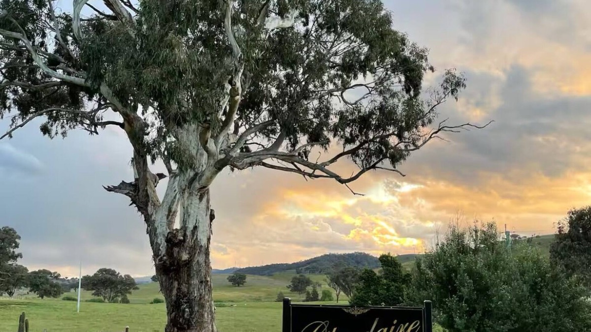 Crudine Bed & Breakfast | Cosy farm stay, family and pet friendlynClose to Historic Hill End and Sofala