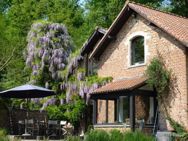 Dilbeek House | Cosy Lodge