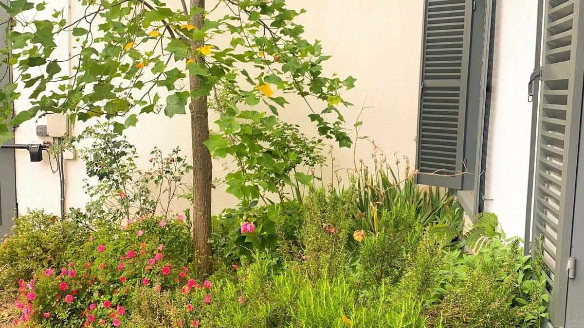 La Pie Apartment | Cosy loft in Saint-Maur-des-Fossés