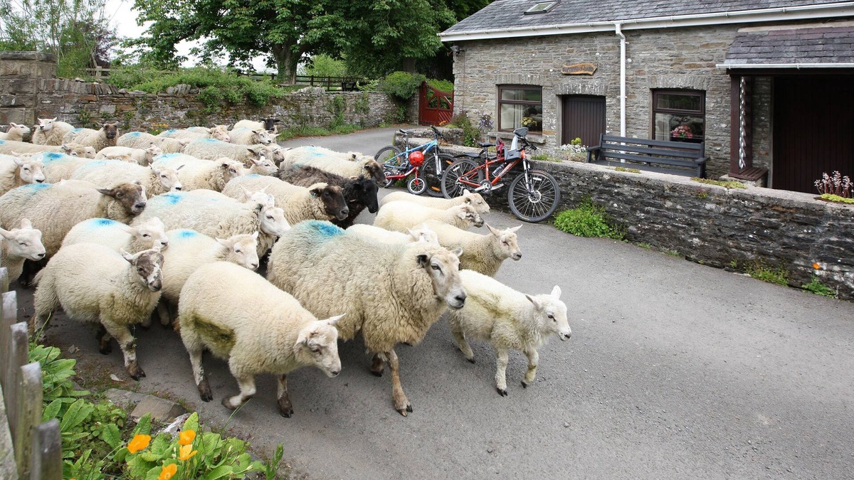 Margam House | Cosy pet friendly bungalow with free WiFi