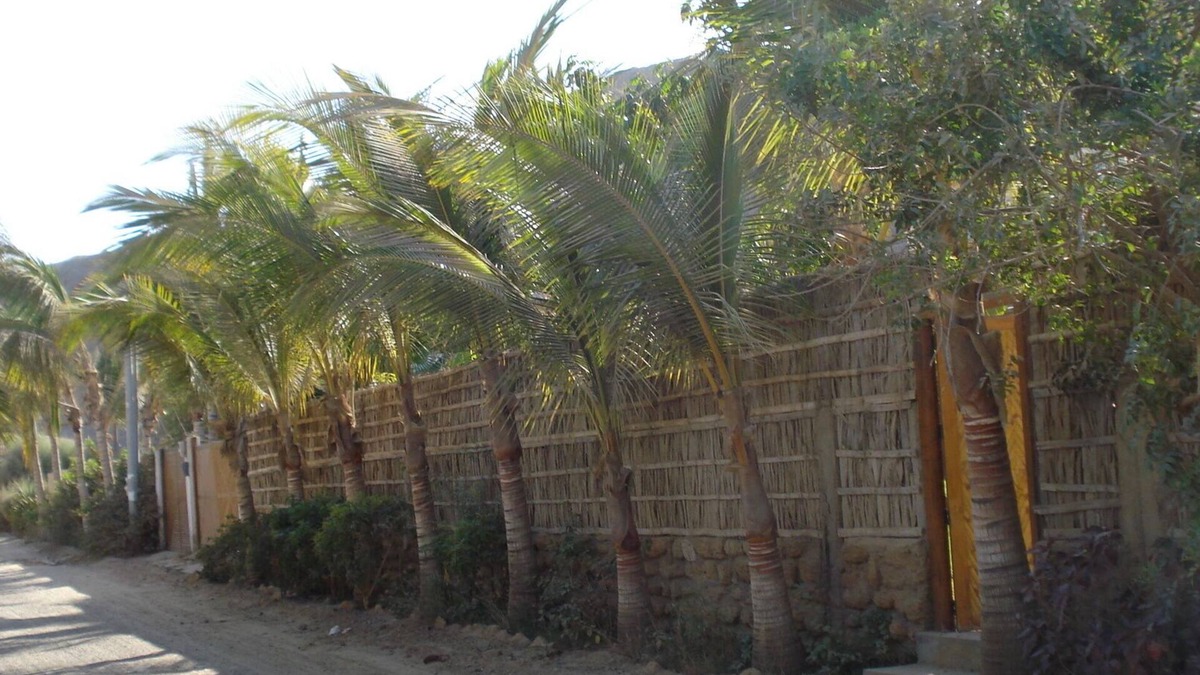 Las Pocitas House | Cosy Private Bungalow in "Las Pocitas" Mancora Peru 