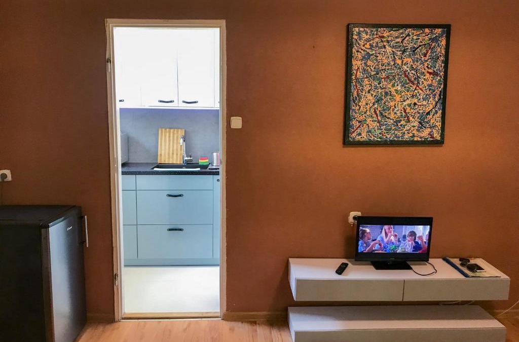 Pulawy Apartment | Cosy studio in quiet location