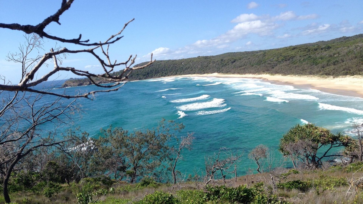 Palm Beach Bed & Breakfast | Cosy Studio walk to Whale beach