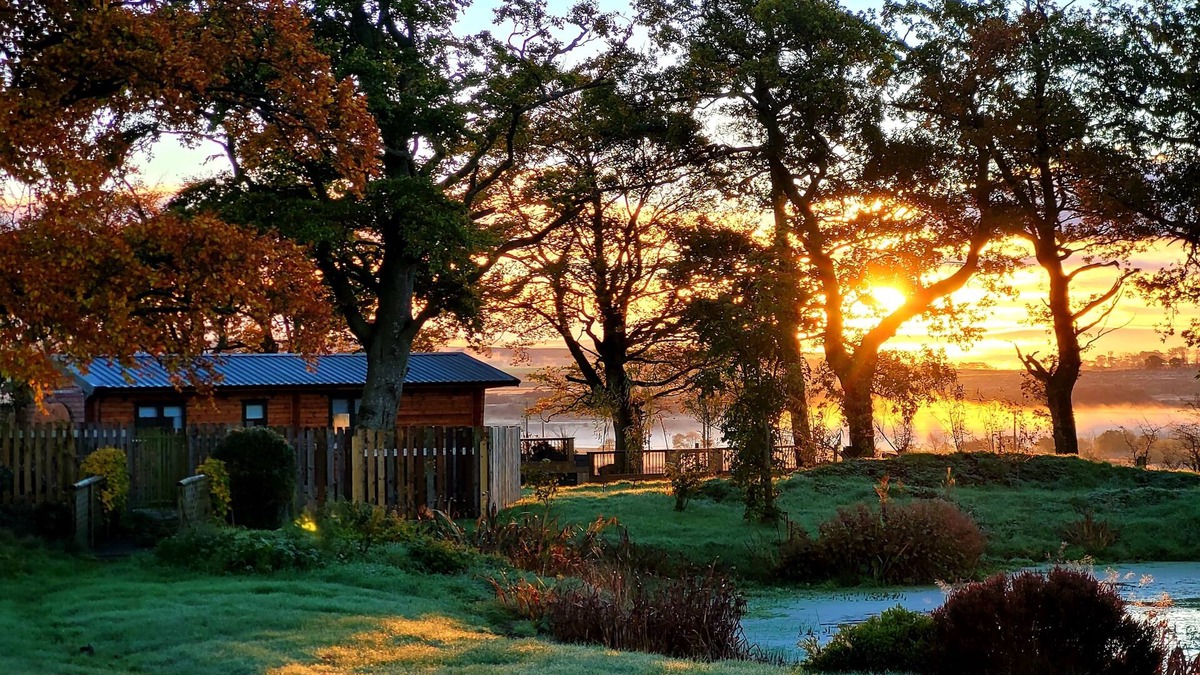 Cronberry Cabin | Cosy wood cabin in rural area near national park