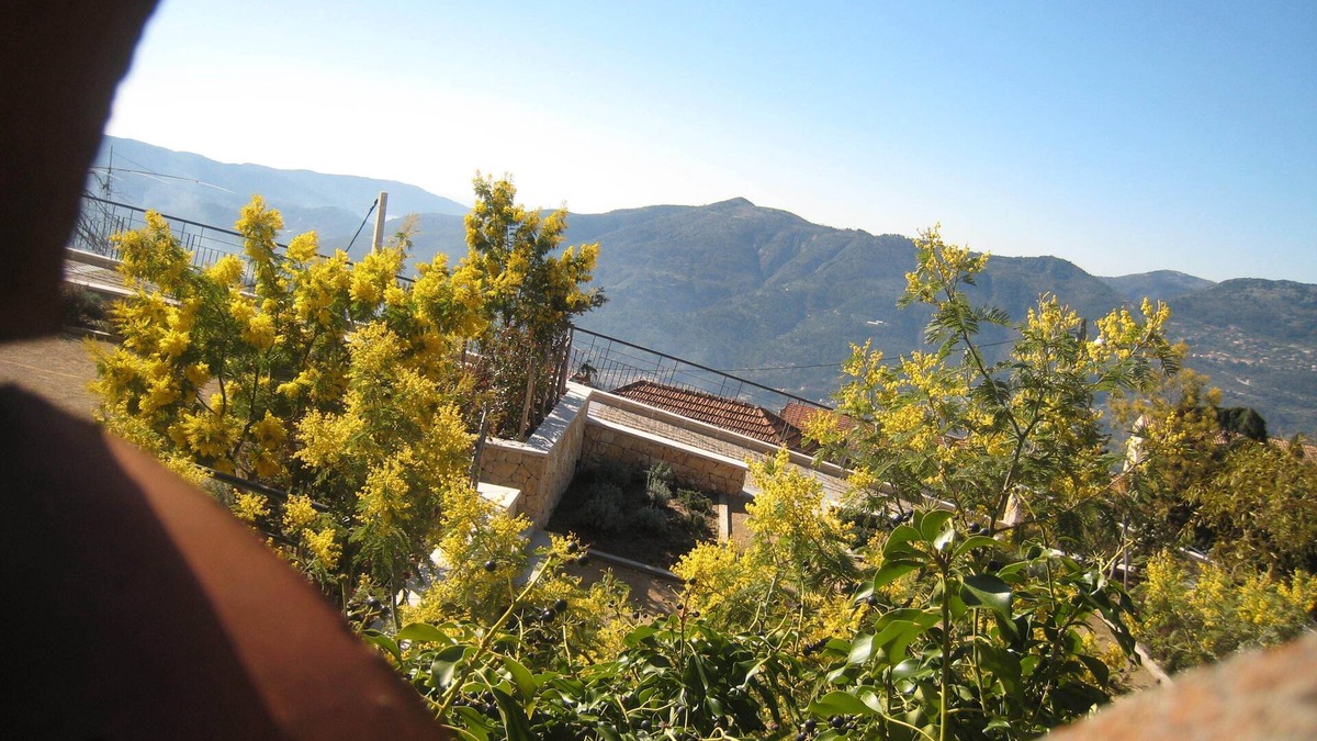 Berre-des-Alpes House | COTE D'AZUR, detached house with large garden in typical village