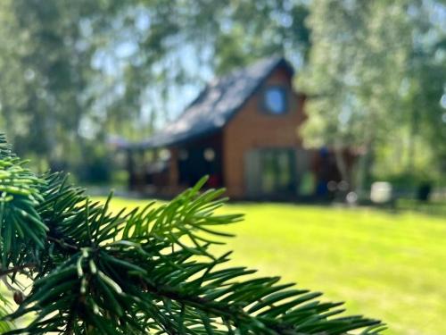 Pisz House | Coti II - Domek letniskowy na Mazurach