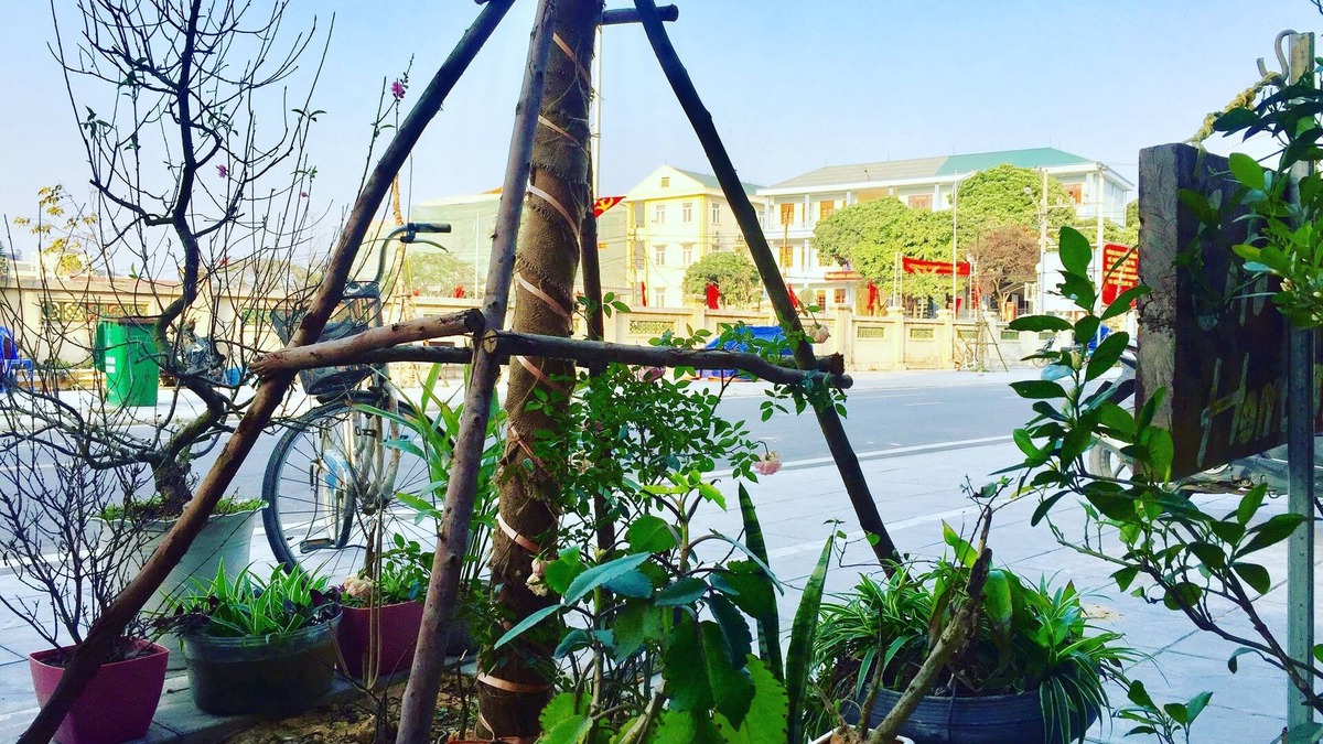 Co To House | CoTo Family Homestay