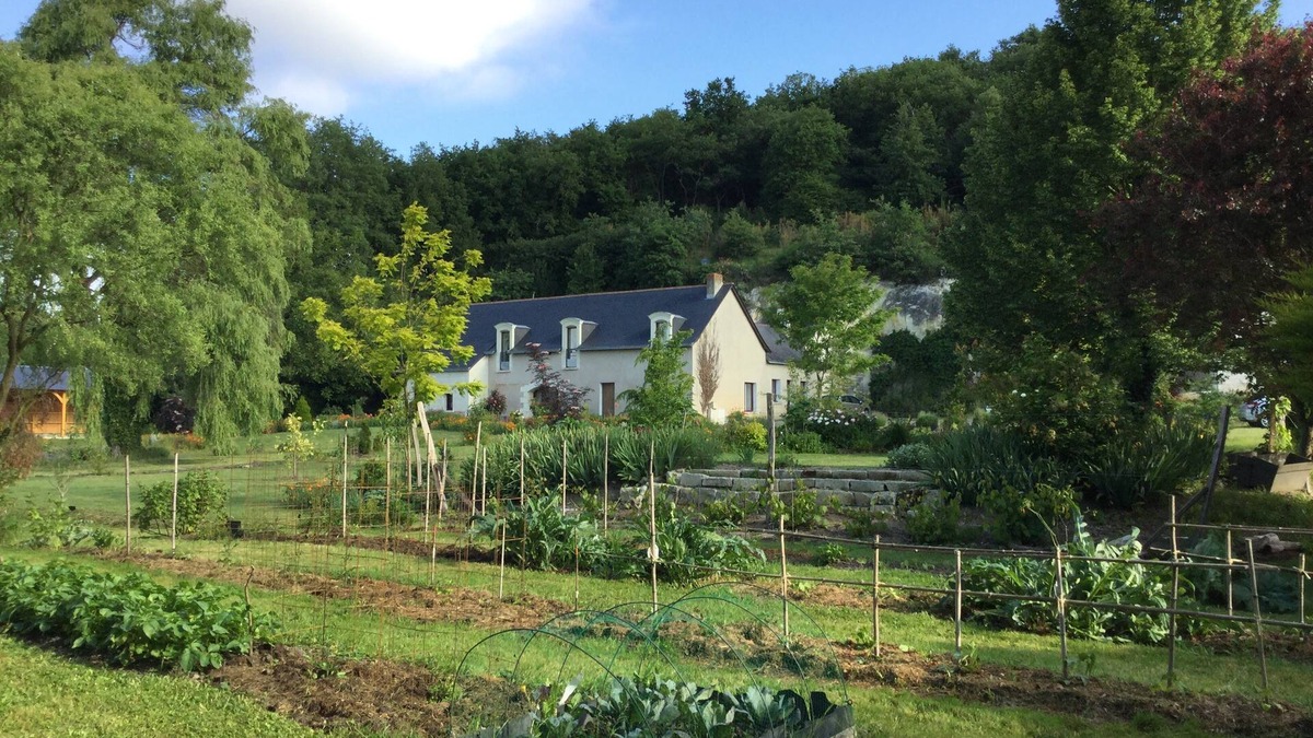 Tuffalun Bed & Breakfast | Cottage 3 people, 6km Loire, between Angers and Saumur, handicap accessibility, Calm.