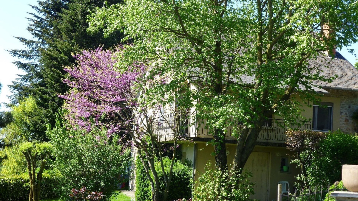 Durenque Other | Cottage 4 pers - Renovated in 2017 - disabled access