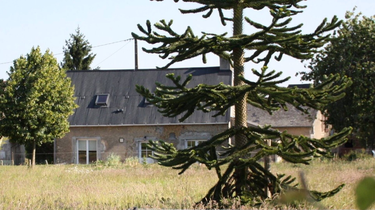 Jupilles House | Cottage 6/8 pers. Jupilles, 50m zoo of the Arrow, 30 minutes from Le Mans, Bercé forest .