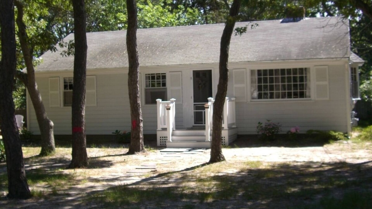 Dennis Port House | Cottage Amongst the Pines, Short Walk to Beach