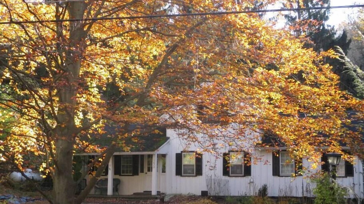 Trumansburg House | Cottage at Taughannock: State Park, Cayuga Lake, Ithaca, & Cornell