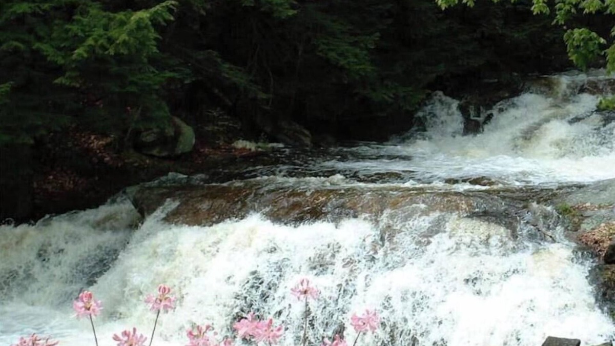 Wilton Cottage | Cottage beside a waterfall