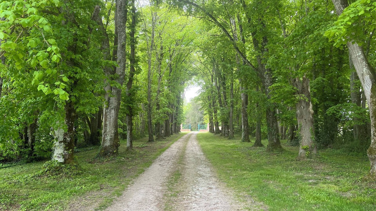Princay Cottage | Cottage Dans un Bain de Verdure Avec Arbres Magestieux .idéal Pour les Familles
