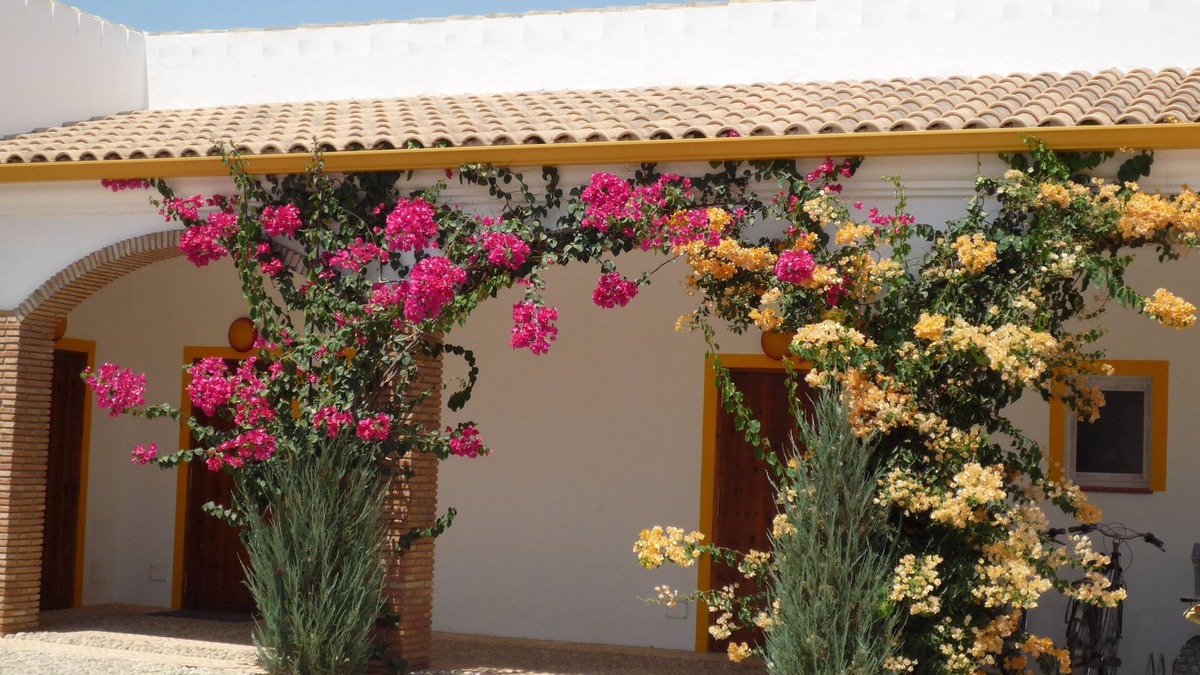 Villamartin Cottage | cottage Finca las Gateras