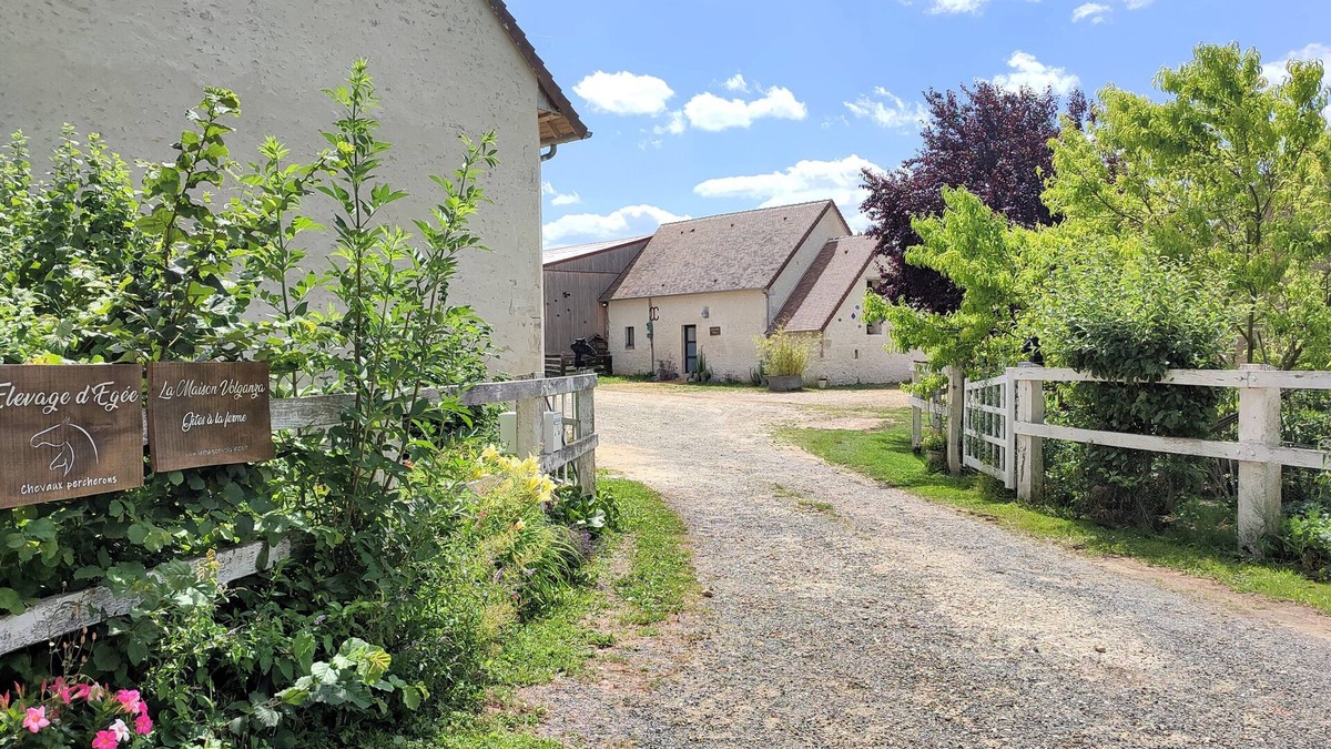 Saint-Fulgent-des-Ormes House | Cottage on the farm in the Perche