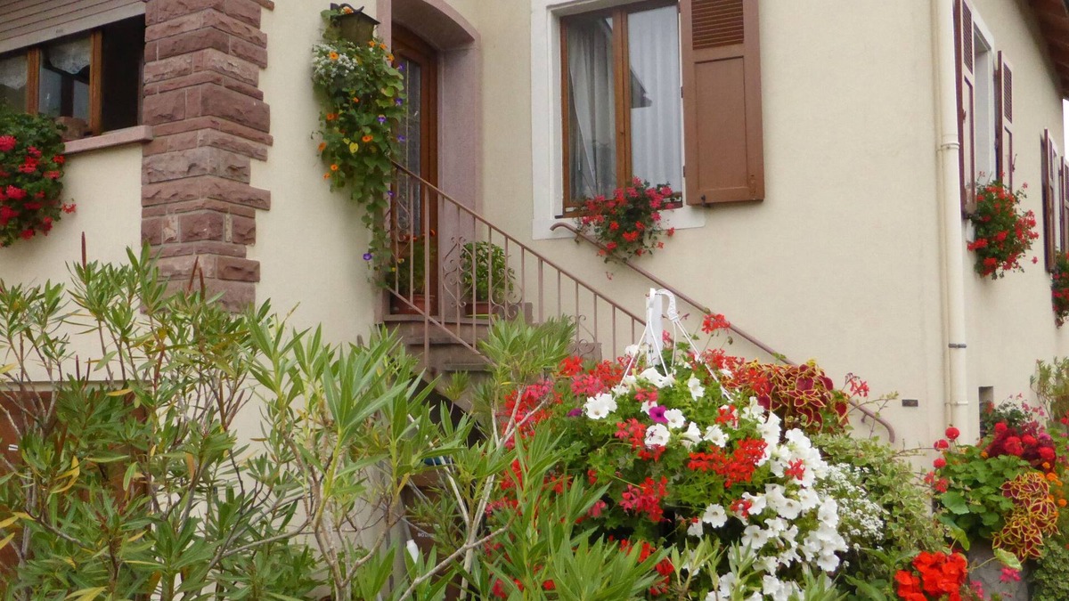 Colmar Cottage | Cottage in a large house in the center of Colmar with garden and free parking