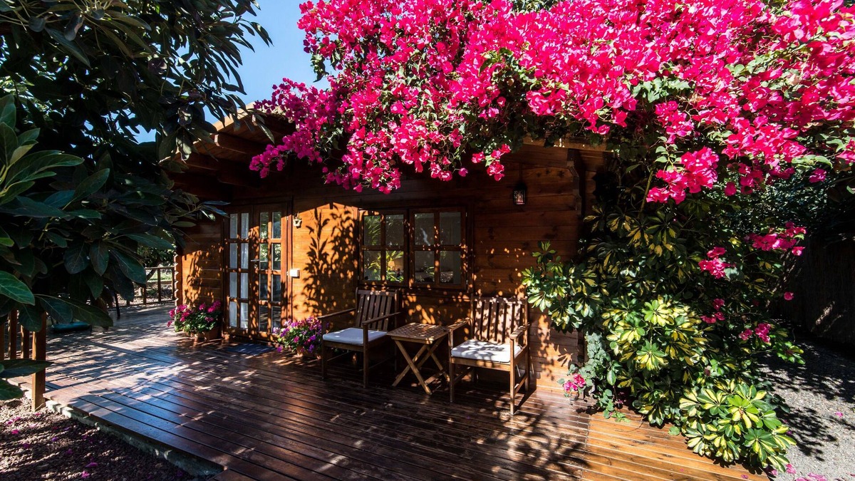 La Orotava Cottage | Cottage In Avocado Plantation Near Bollullo Beach and Puerto Cruz